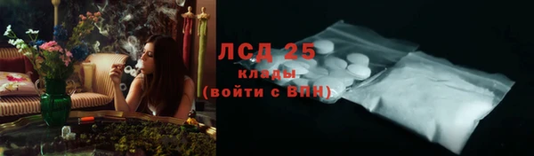 крисы Алзамай
