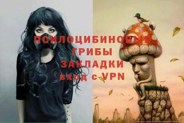 крисы Алзамай